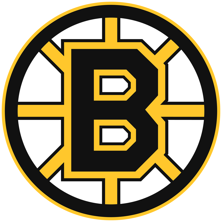 Boston Bruins 1995-2007 Primary Logo t shirts DIY iron ons